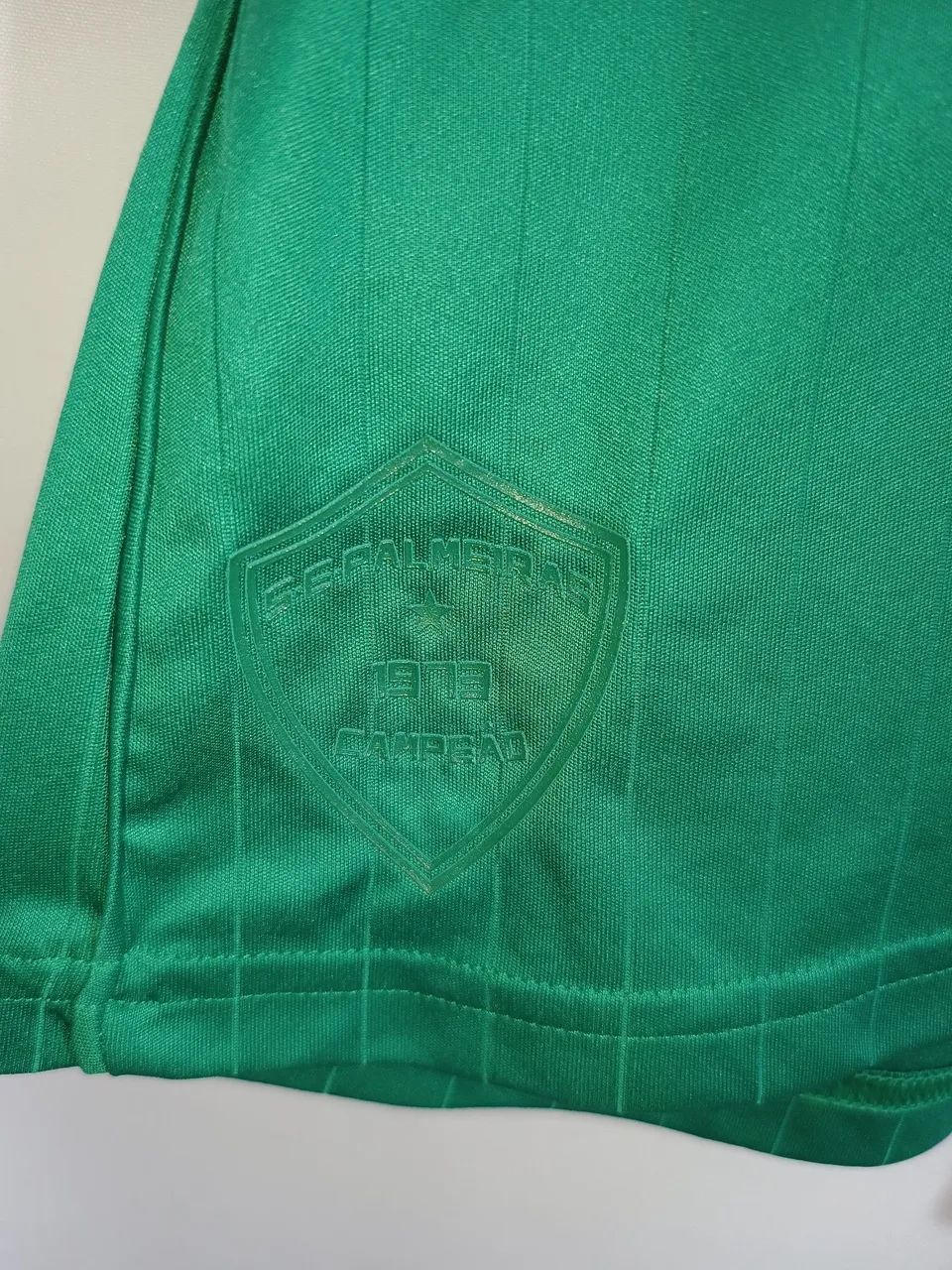 Camisa do Palmeiras Casa 2013/14 - Foto 3