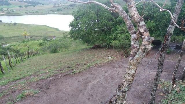 Propriedade com 2 casas de 13 hectares, em Sairé, 700 mil - Foto 6