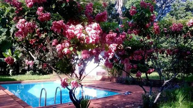 Chácara condomínio Fechado com Pomar, Piscina, Casa 2 Qts, Sala, Cozinha - Jardinópolis - Foto 8