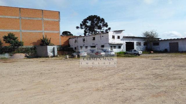 Terreno residencial à venda, colônia rio grande, são josé dos pinhais - te0023. - Foto 4