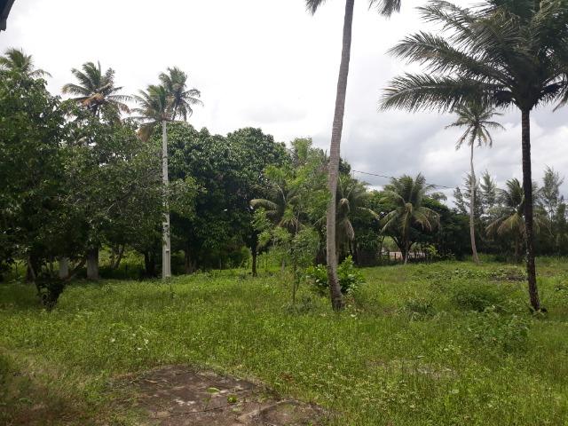 Oportunidade de Chácara, com 5,2 ha, há margem da RN 316, em Monte Alegre/RN