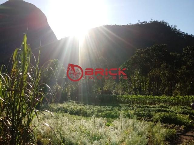 Sítio em teresópolis com cachoeira, nascente, terra para plantação e árvores frutíferas. - Foto 3