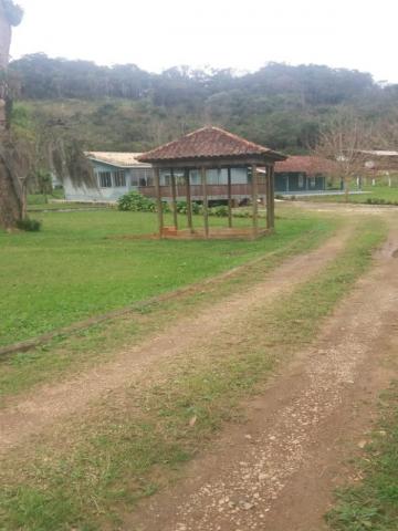 Chácara à venda em Cerne, Campina grande do sul cod:CH00011 - Foto 2