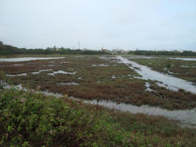 Área para venda em cabo frio, novo portinho
