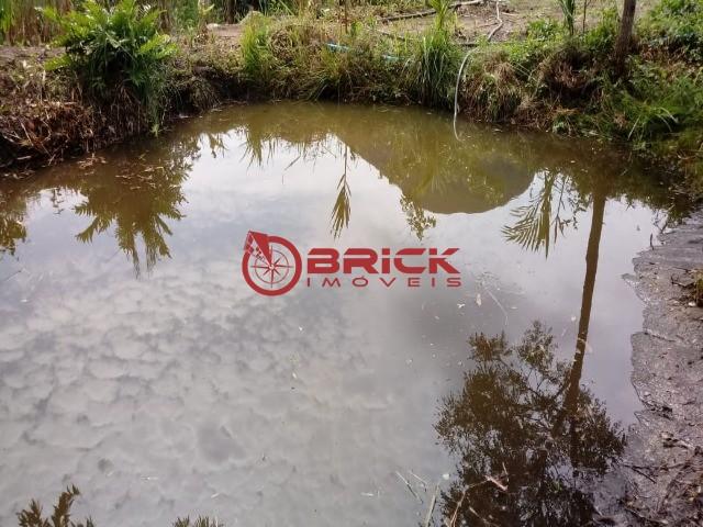 Sítio em teresópolis com cachoeira, nascente, terra para plantação e árvores frutíferas. - Foto 11