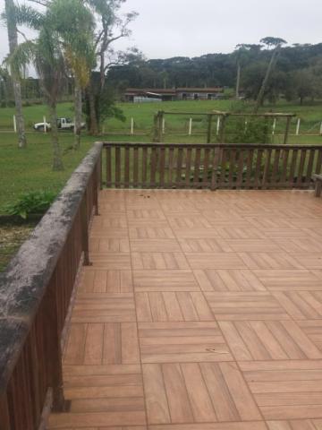 Chácara à venda em Cerne, Campina grande do sul cod:CH00011 - Foto 5