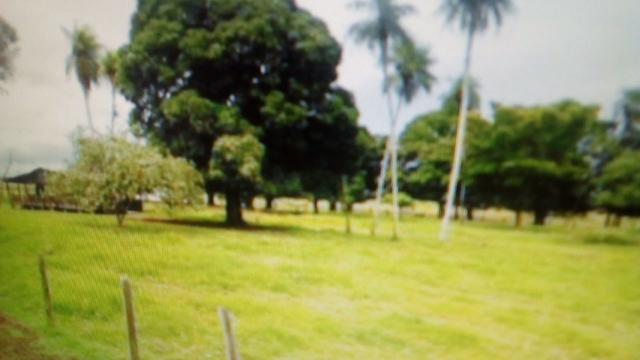Fazenda de 87.945 hectares, em pocone no pantanal Mato-Grossense ! - Foto 11