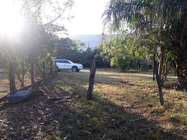 Fazenda 866 Hectares apos 35 km da Agrovila das Palmeiras - Foto 10