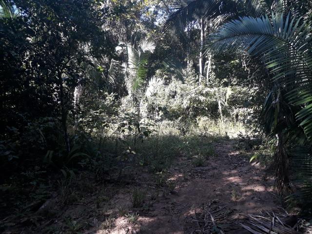 Fazenda com 784,77 hectares entre Jangada e Rosário Oeste - Foto 12