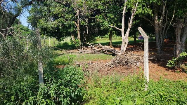 Chácara 12.500m² Alto da boa vista Próximo três lagoas Foz do Iguaçu - Foto 7