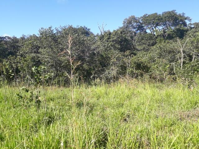Fazenda com 784,77 hectares entre Jangada e Rosário Oeste - Foto 20