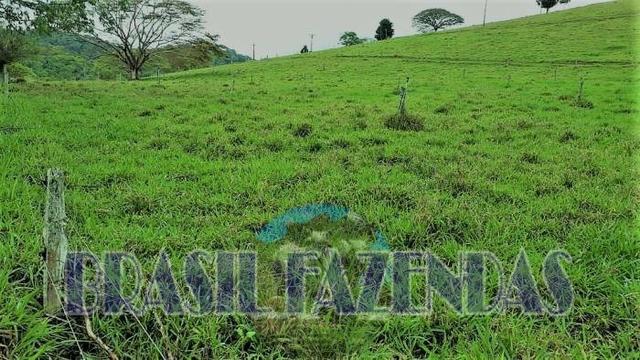 Fazenda em Itamaraju - Foto 13
