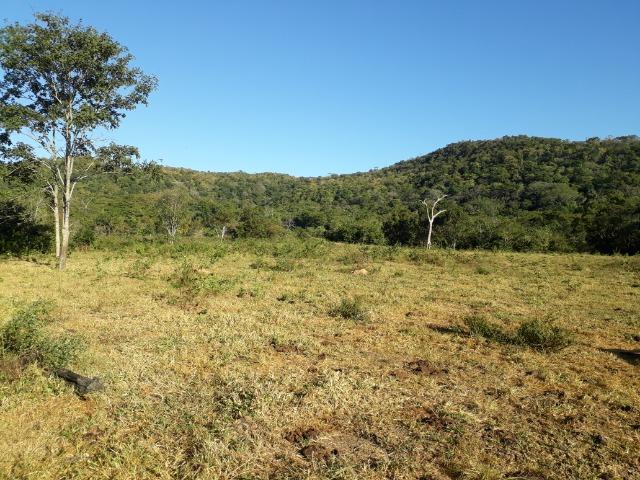 Fazenda 866 Hectares apos 35 km da Agrovila das Palmeiras - Foto 16