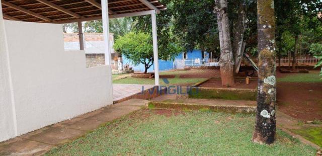 Chácara com 2 dormitórios à venda, 1666 m² por r$ 390.000,00 - chácaras de recreio samamba - Foto 8
