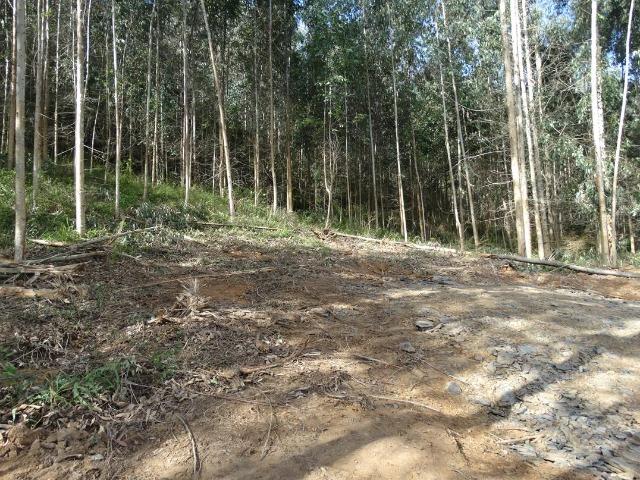 Alfredo Wagner , Serra Catarinense 8,0 hectares - Foto 19
