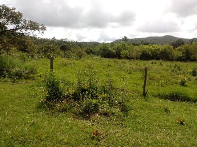 Fazenda 90 alqueires - Foto 4