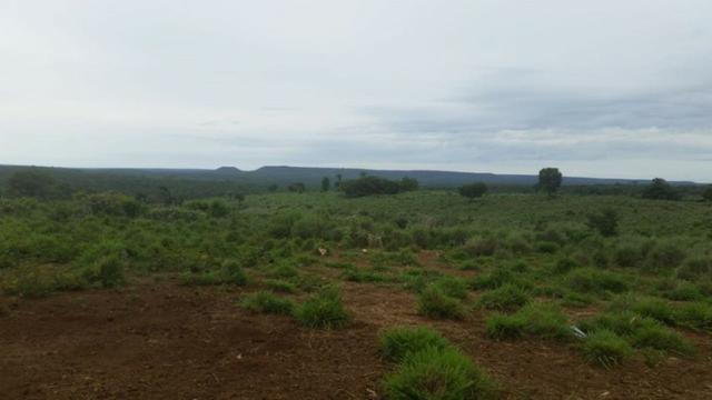 Vendo Fazenda de 1702 hectares no Leste do Maranhão - Foto 5