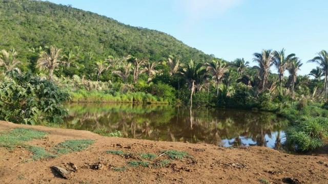 Vendo Fazenda de 1702 hectares no Leste do Maranhão - Foto 16