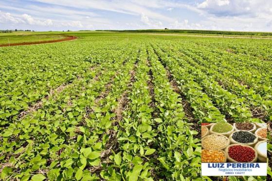 FAZENDA A VENDA DE 363 HECTARES EM ASSIS -SP (Soja e Cana)