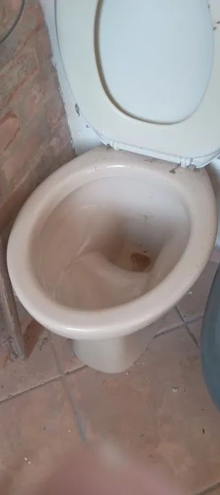 Vendo vaso sanitário.