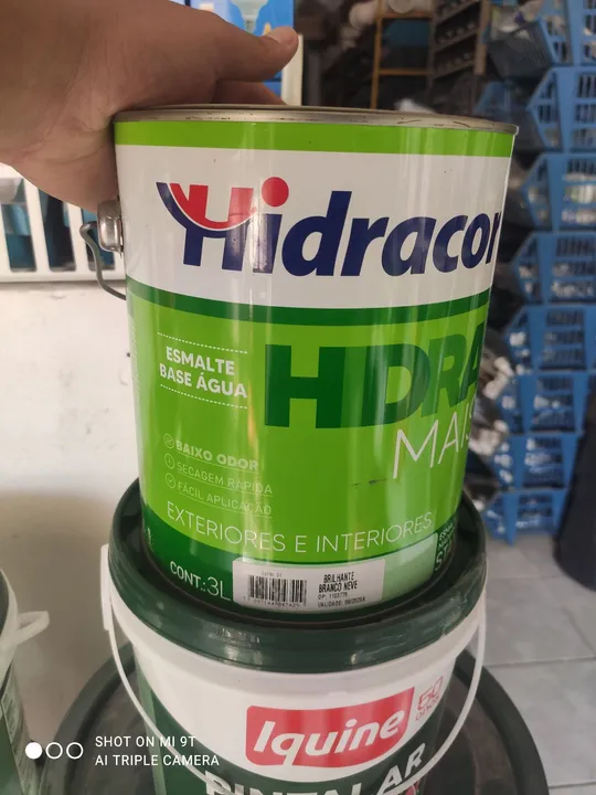 Tinta base água galão - Branco neve-3L