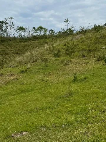 Terreno / chácara - Birirca - Boqueirão do Thomas. OPORTUNIDADE ÚNICA - Foto 5