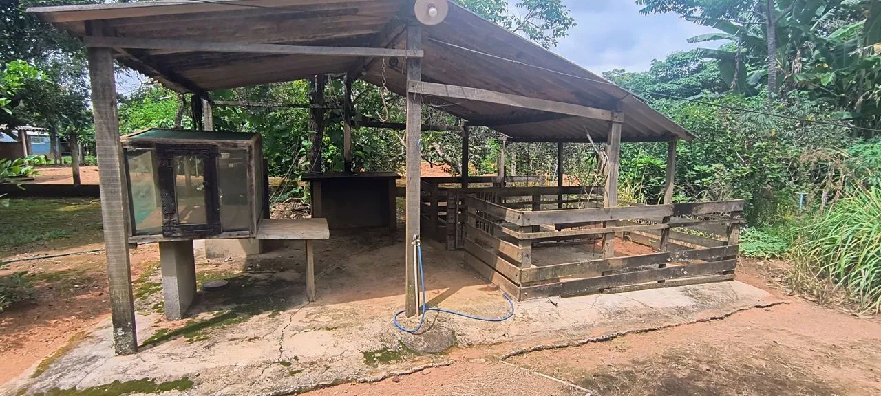 Sítio na ponte alta Sul ao lado do clube caiçara. - Foto 6