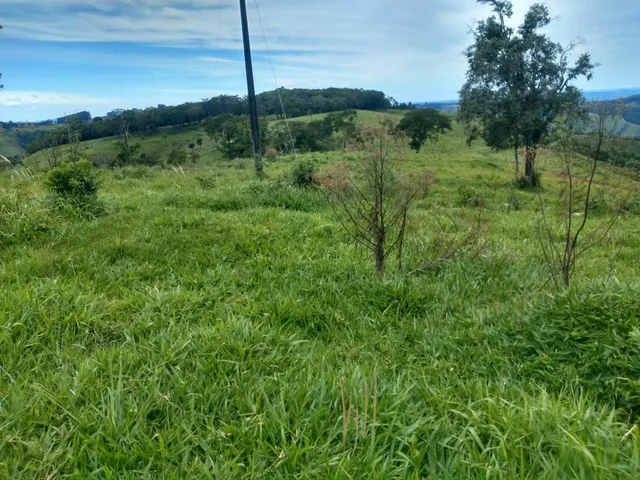 Fazenda na pecuaria otimo preço