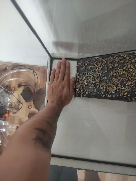 Aquário/ terrário - Foto 6