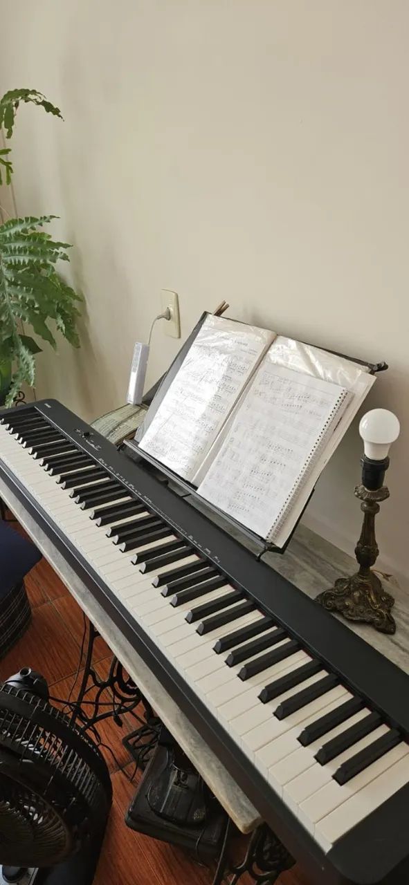 Piano Digital Casio CDP-S100 - 88 Teclas com Ação de Martelo (USADO)