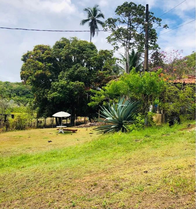 Área com 21.114m² em Milagres vistas ao Mar - Foto 5