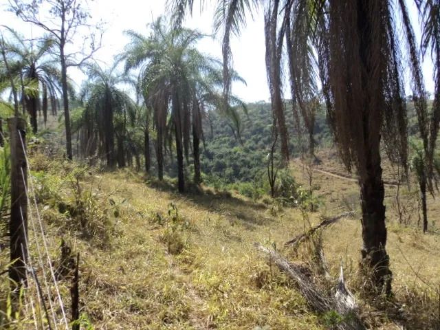 Mateus Leme  - 58.800 m² - Financiado -  R$ 100.000,00 entrada - Foto 4