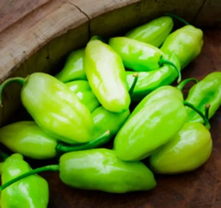 Sementes de Pimenta de cheiro do norte- Sabor Intenso! - Foto 4