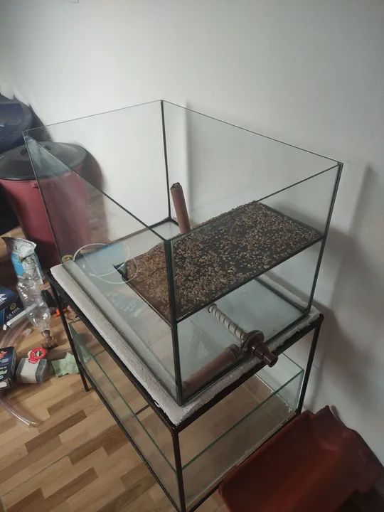 Aquário/ terrário - Foto 3
