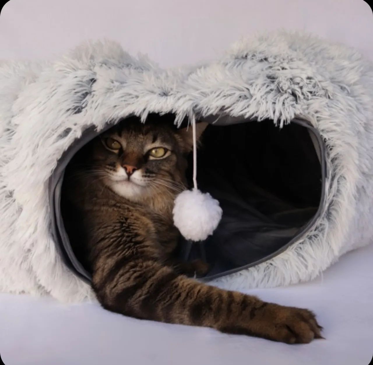 Túnel para Gatos - Brinquedo Divertido e Confortável - ORIGINAL MIAU STORE - Foto 3