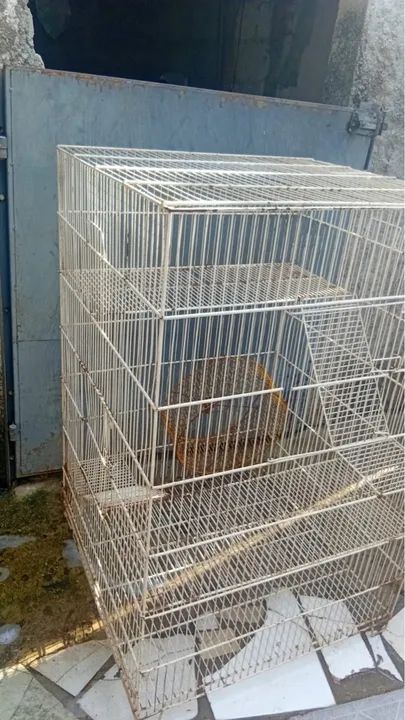 Gaiola para Roedores - Foto 6