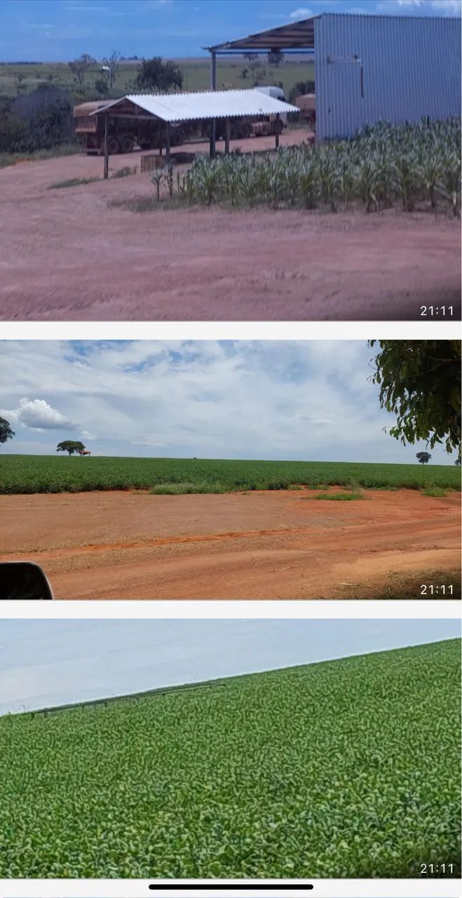 Fazenda em Uberaba 100% aproveita lavoura  - Foto 2