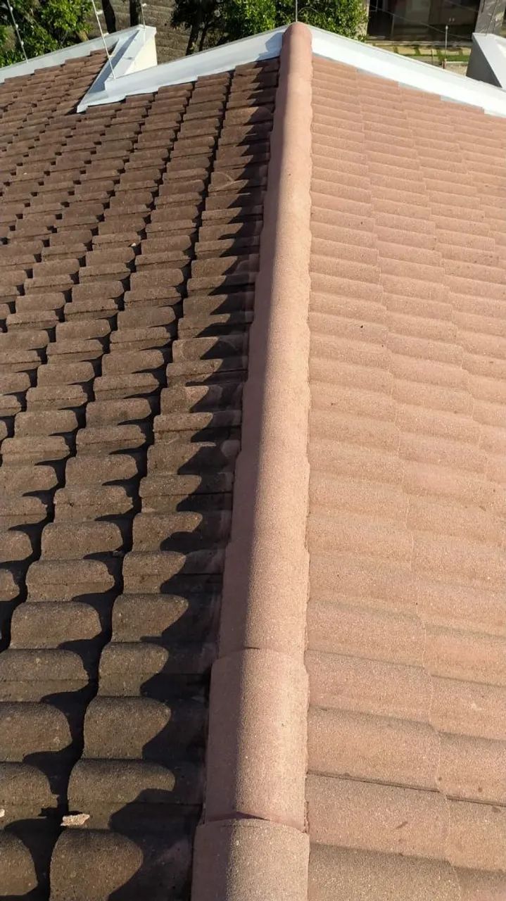 Limpeza de Telhados Profissional - Deixe seu Telhado Impecável!