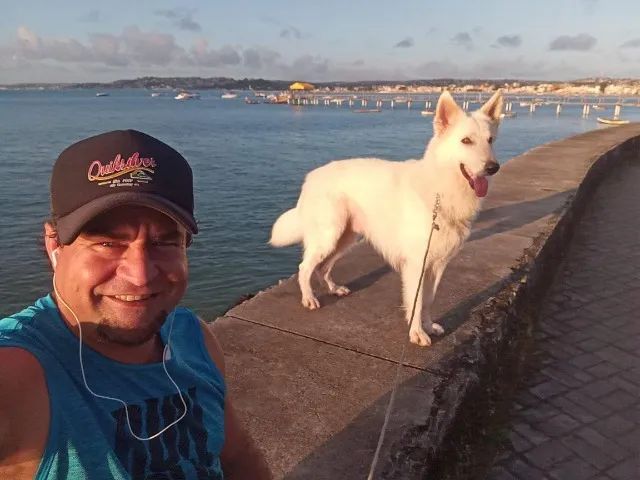 Adestramento & Psicologia Canina ! Qualquer dúvida é só ligar ! - Foto 3