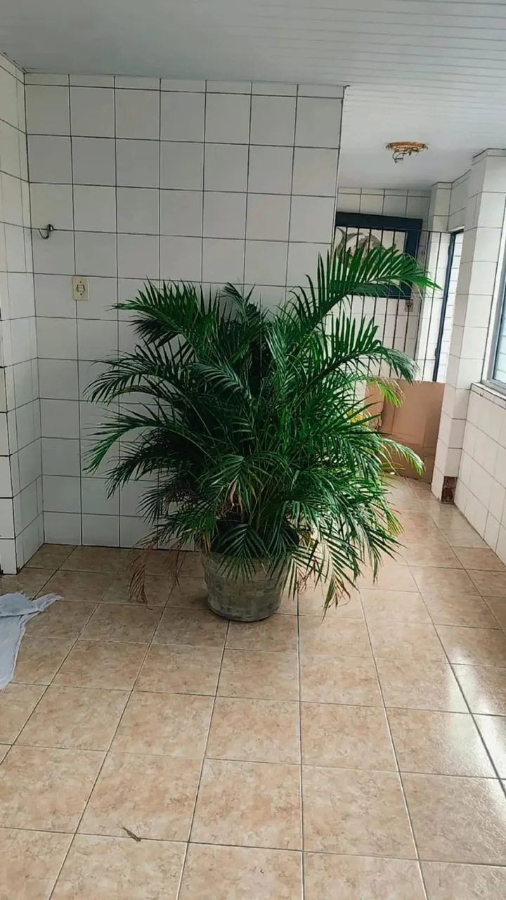 Imóvel para aluguel com 80 metros quadrados com 2 quartos em Campo Grande - Recife - PE