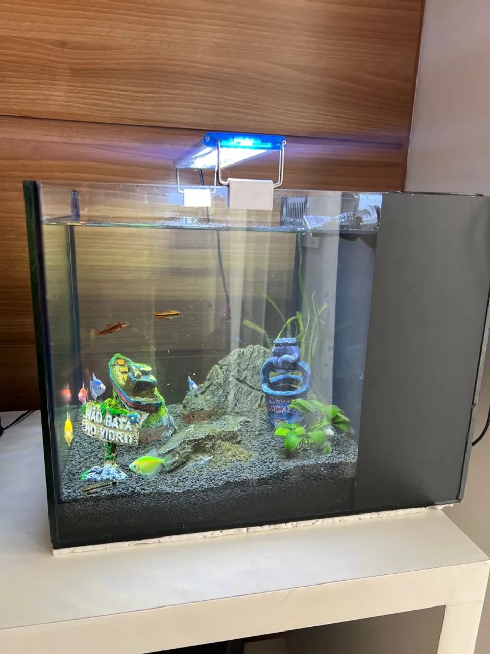 Aquário de 40 Litros com Iluminação LED  - Foto 3