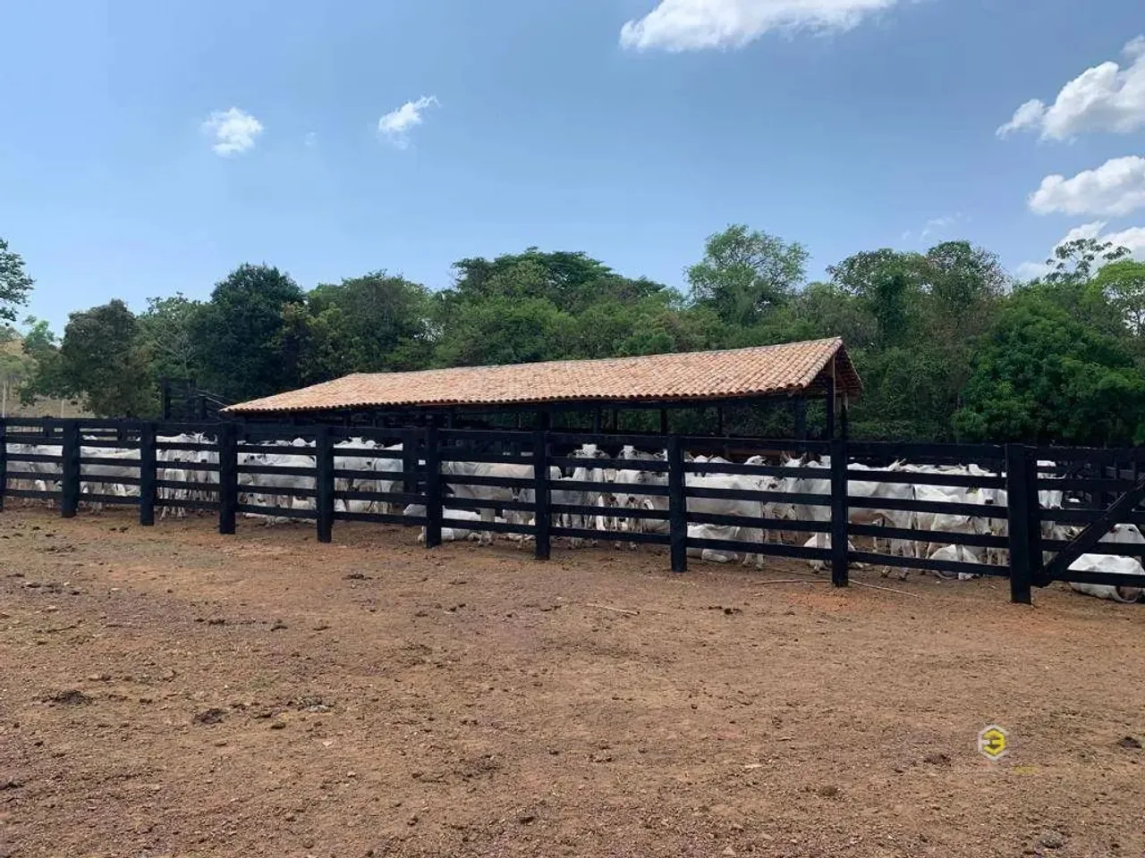fazenda sentido aparecida do rio negro