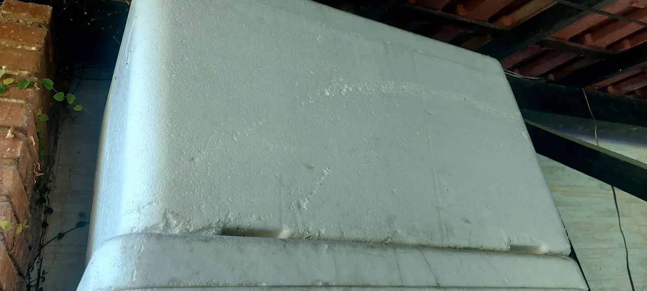 Caixa térmica de isopor
