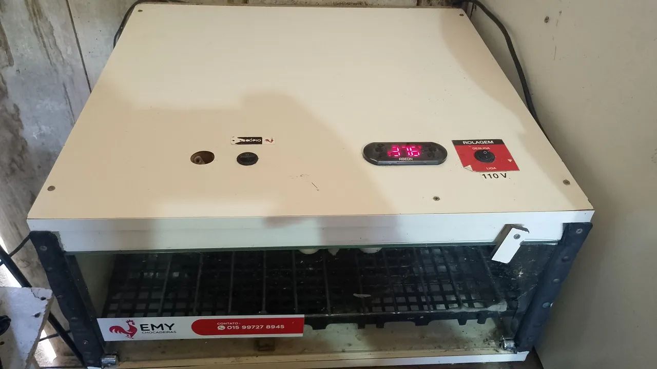 Vendo ou Troco Chocadeira63824580486145121