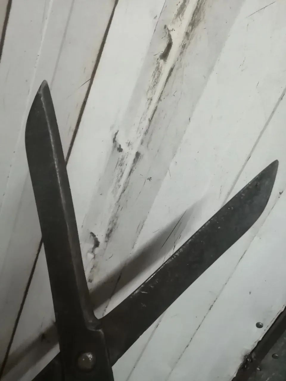 Tesoura de poda corneta solingen antiga - Foto 3