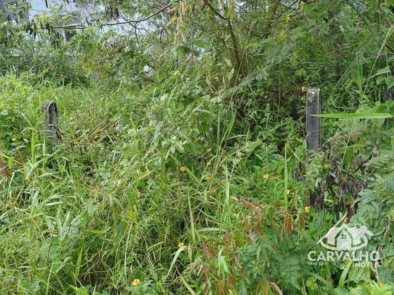 Terreno à venda, 300 m² por R$ 350.000,00 - Itajuba - Barra Velha/SC