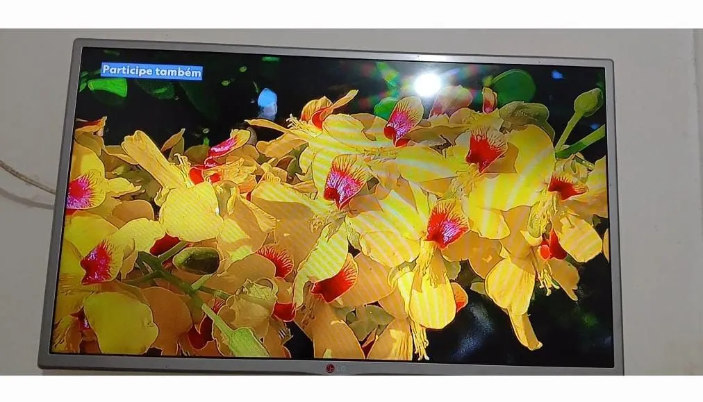 TV LG com imagem vibrante