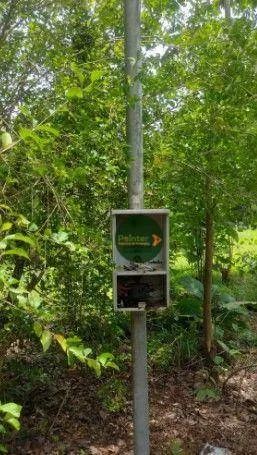 Fazenda à venda, 1960200 m² por R$ 5.390.000 - Zona Rural - Cristalândia/TO - Foto 5