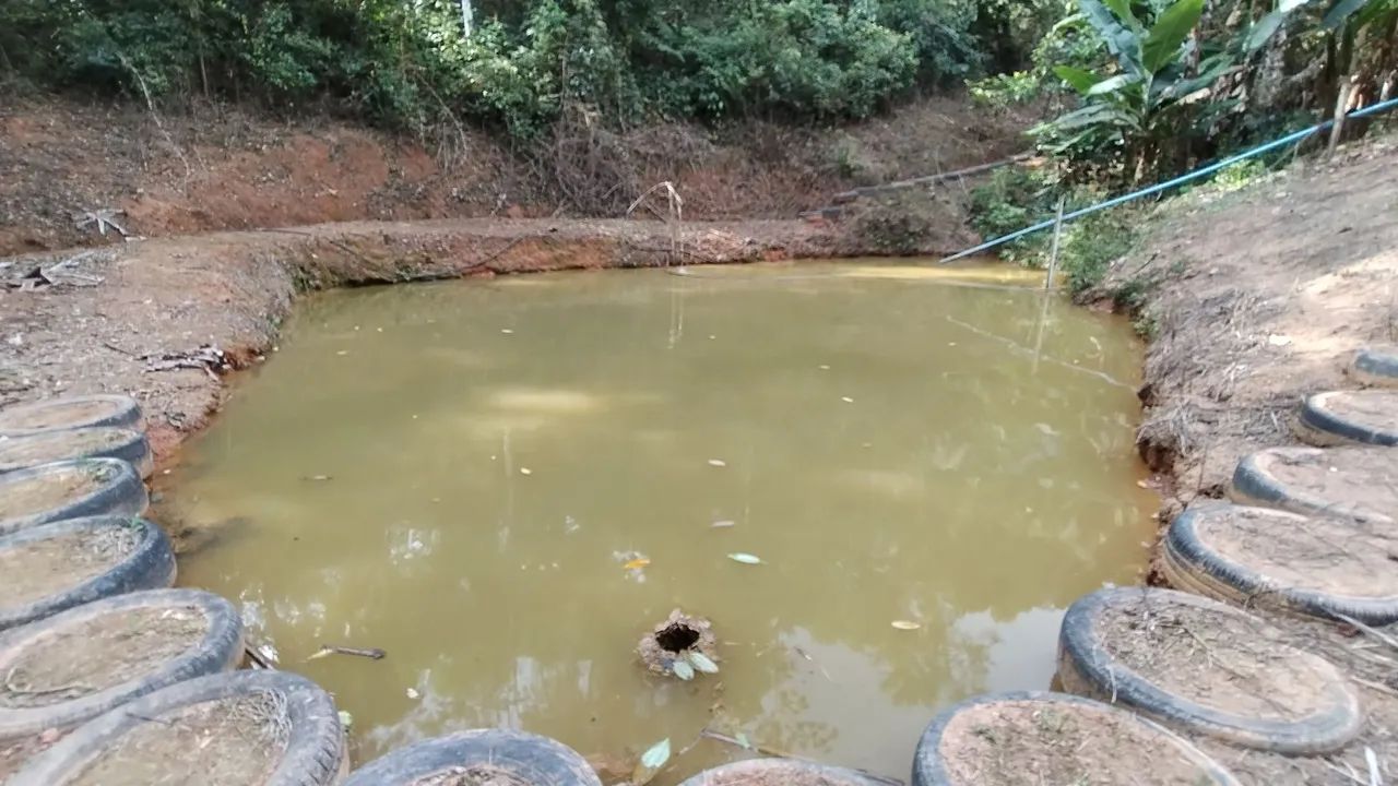 Marechal Floriano chácara com casa  - Foto 15