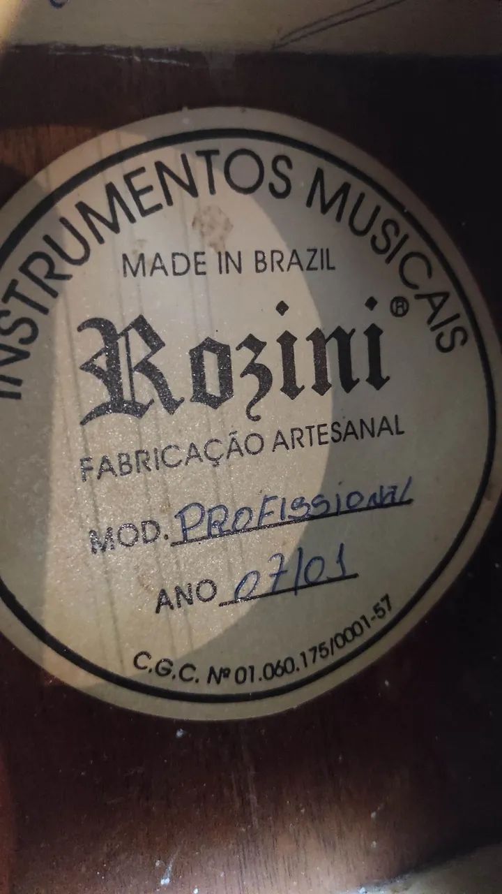 Viola Rozini Profissional Cinturada - Foto 3